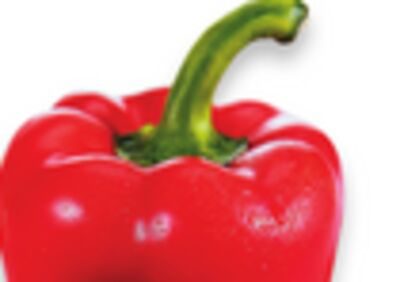 Rainbow Peppers from Walmart Canada