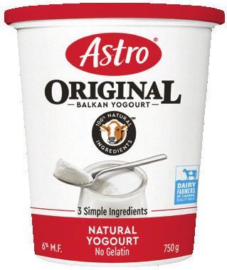 Astro Yogurt Tubs from Walmart Canada