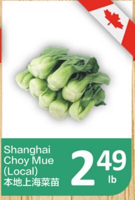 Shanghai Choy Mue (Local) from PriceSmart Foods