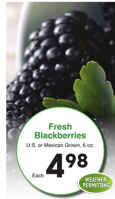 Fresh Blackberries from AG Foods